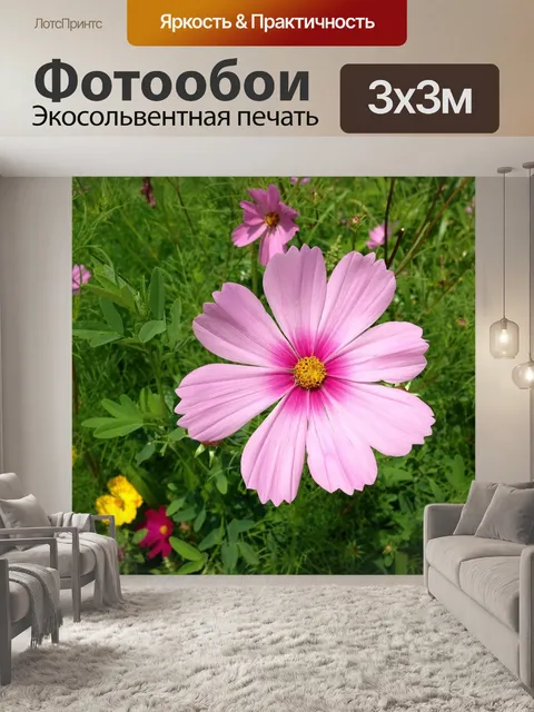 Фотообои Декоративное растение