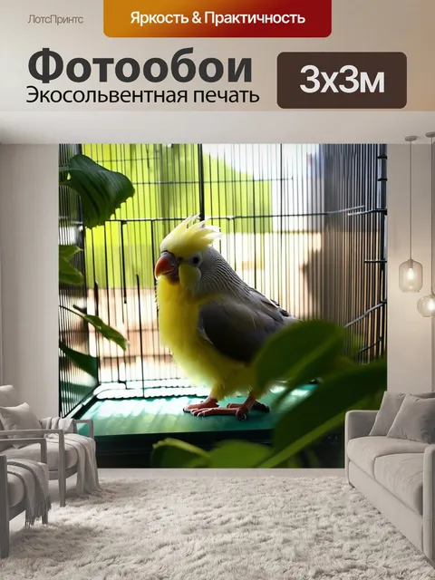 Фотообои корелла сидит в открытой клетке, окруженная зелеными растениями и солнечными лучами, проникающими через листву