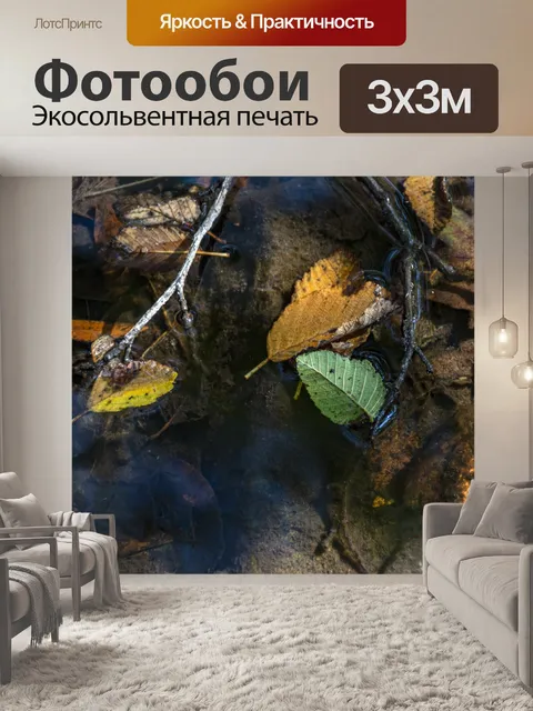 Фотообои Осенний лист