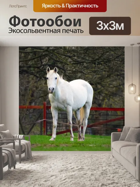 Фотообои Лошадь