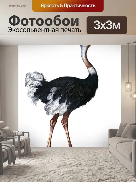 Фотообои Страус Винтаж Клипарт