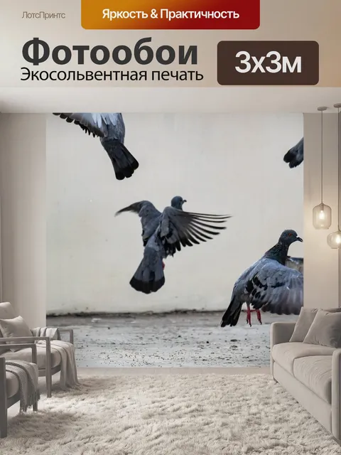 Фотообои Летающий
