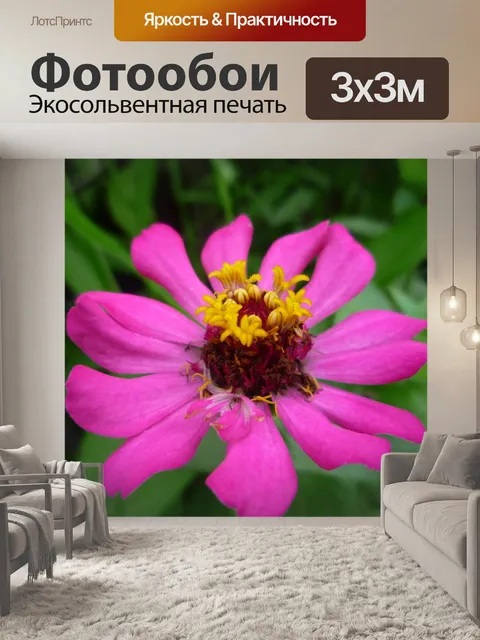 Фотообои Макрос
