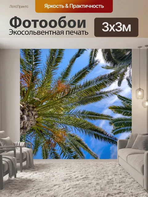 Фотообои Пальмы против неба