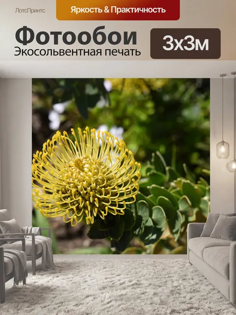 Фотообои Кинжал Pincushion Flower Backdrop