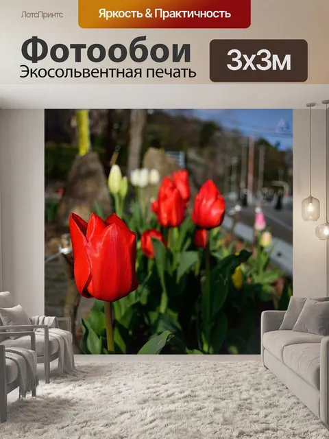 Фотообои Цветок