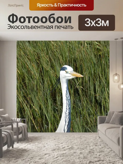 Фотообои Южная африка