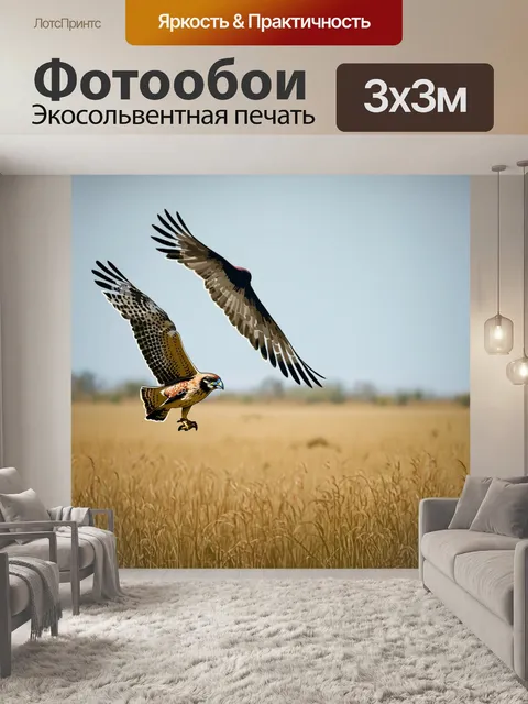 Фотообои охота в поле, где соколы парят в небе, высматривая свою жертву среди можетанитой травы