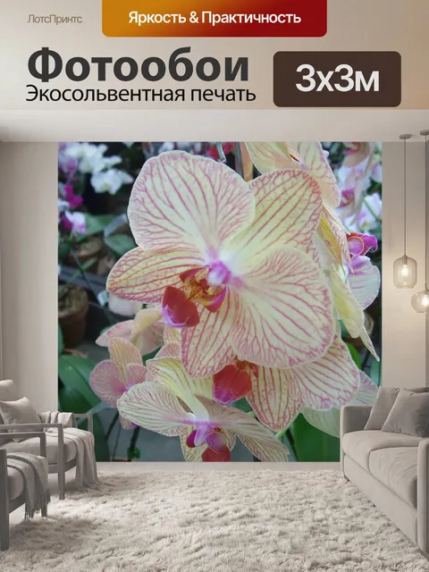 Фотообои Розовая орхидея