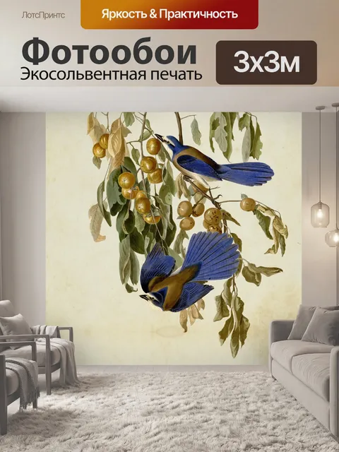 Фотообои Флорида Джей винтажное искусство