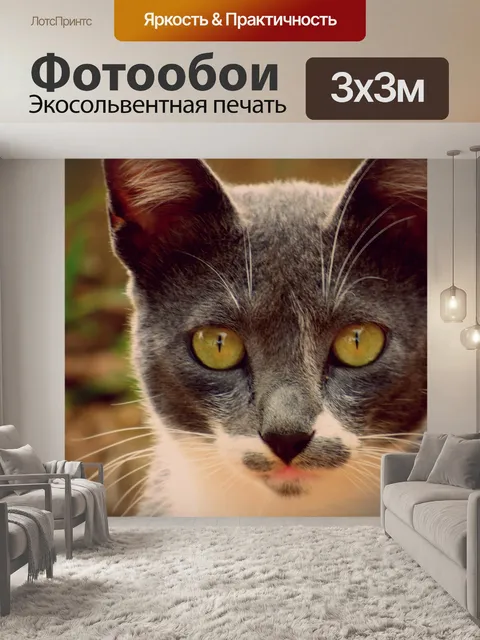 Фотообои Кошка