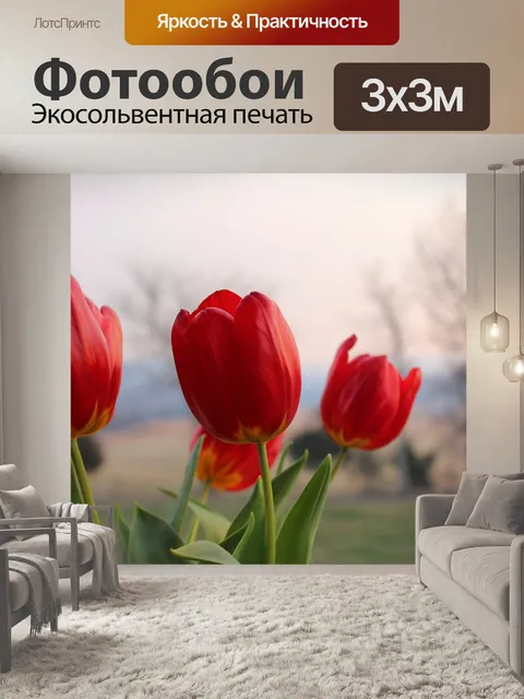 Фотообои Красные тюльпаны