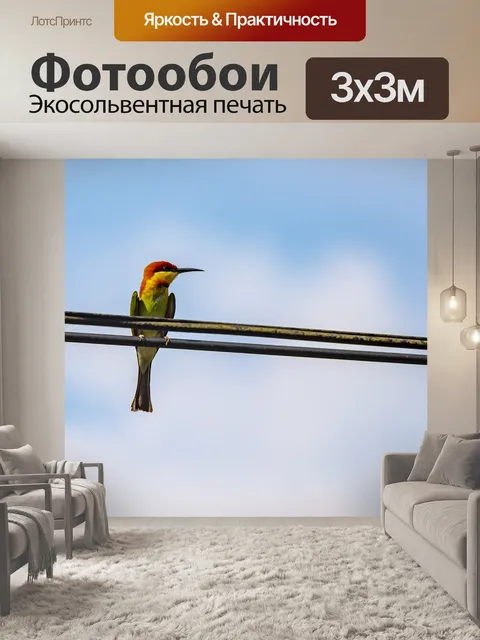 Фотообои Животное