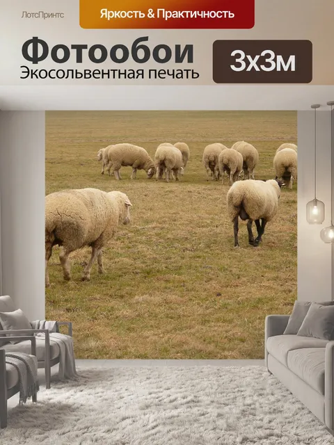 Фотообои Стадо овец