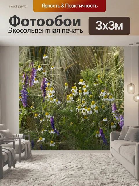 Фотообои Пчелиное пастбище цветы ромашки поле
