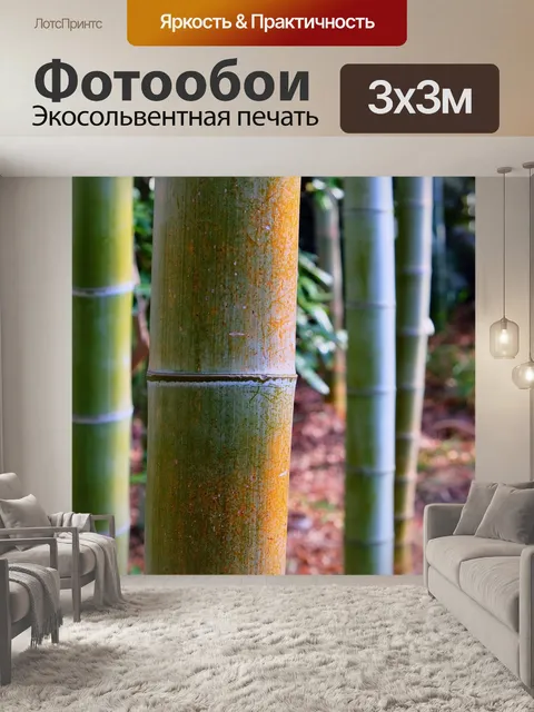 Фотообои Бамбук