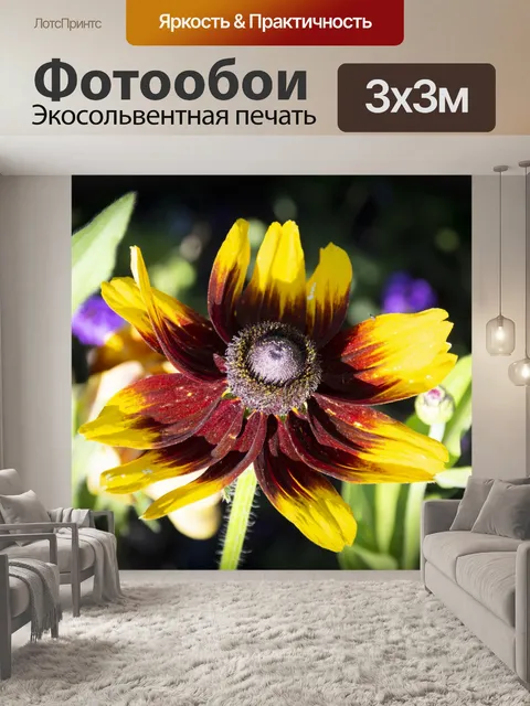 Фотообои подсолнух