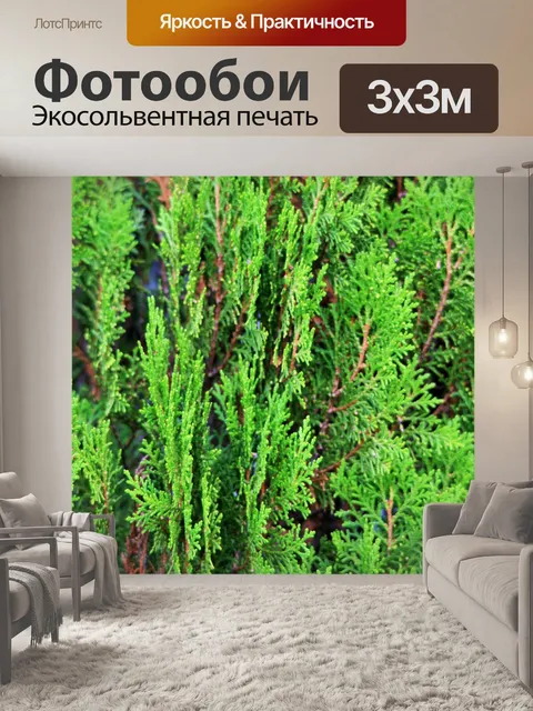 Фотообои зеленый хвойное
