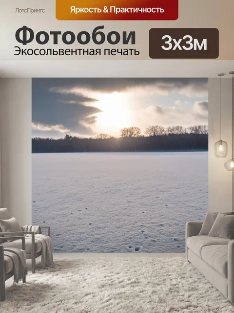 Фотообои зимнее поле, покрытое инеем, со следами животных, и солнцем, пробивающимся сквозь утренние облака