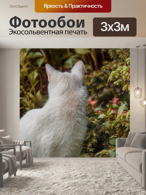 Фотообои Кот