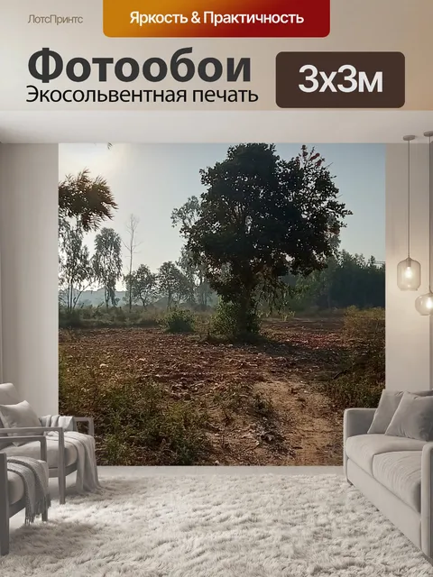Фотообои Деревья