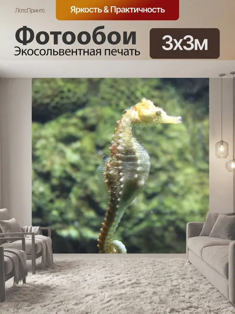 Фотообои Морской конек