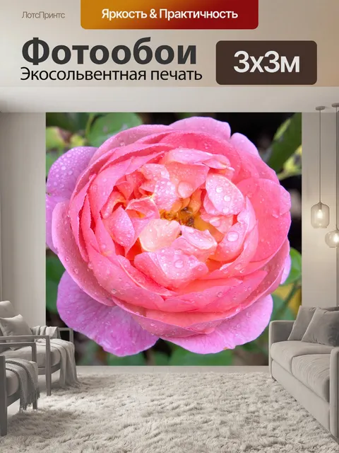 Фотообои Роуз