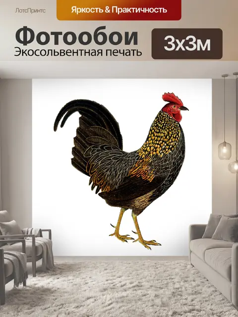 Фотообои Урожай Петуха
