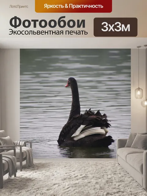 Фотообои Черный лебедь