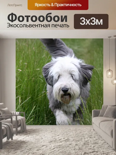 Фотообои Собака