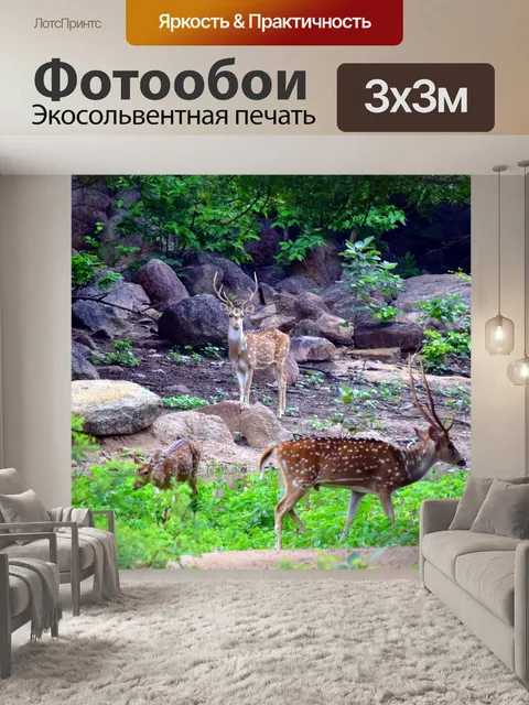 Фотообои Пятнистый олень 4