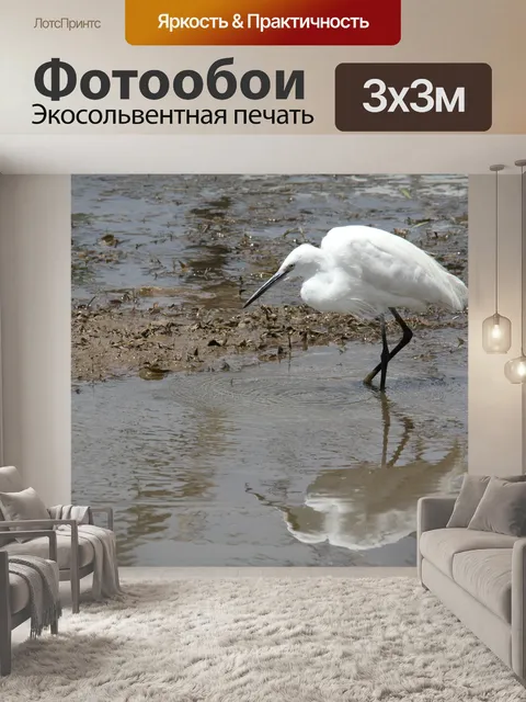 Фотообои Белый