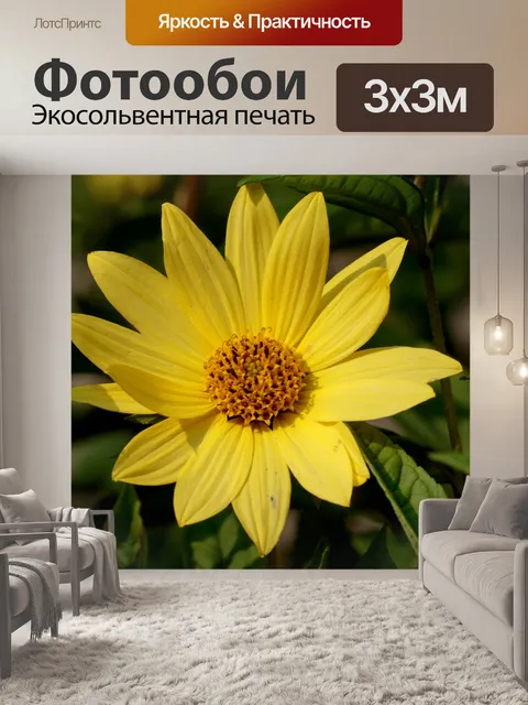 Фотообои Цветок, желтый