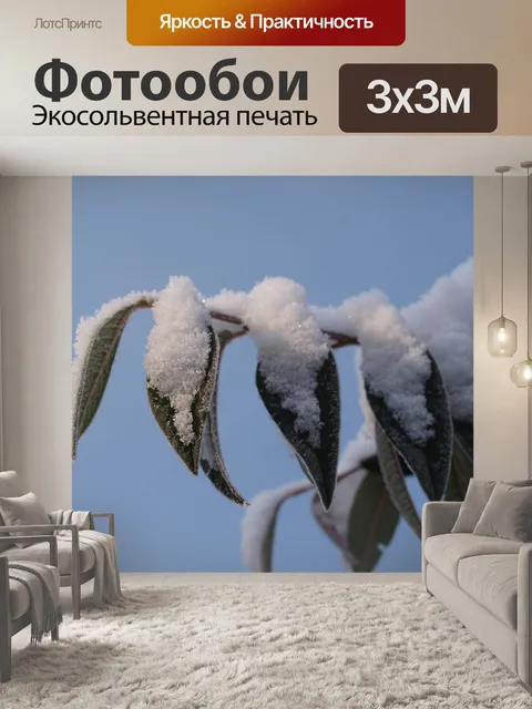 Фотообои Снег