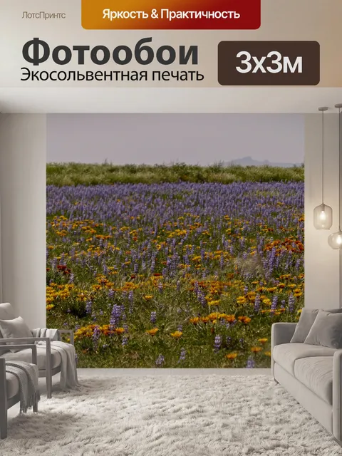 Фотообои Поле полевых цветов