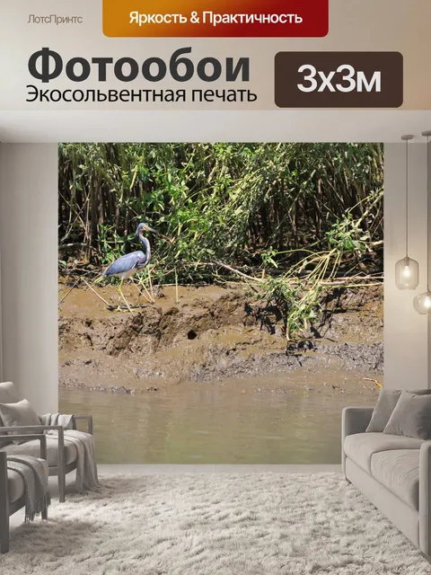 Фотообои Большая голубая цапля