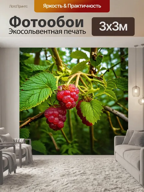 Фотообои дикие ягоды малины, растущие в зарослях леса, с яркими зелеными листьями