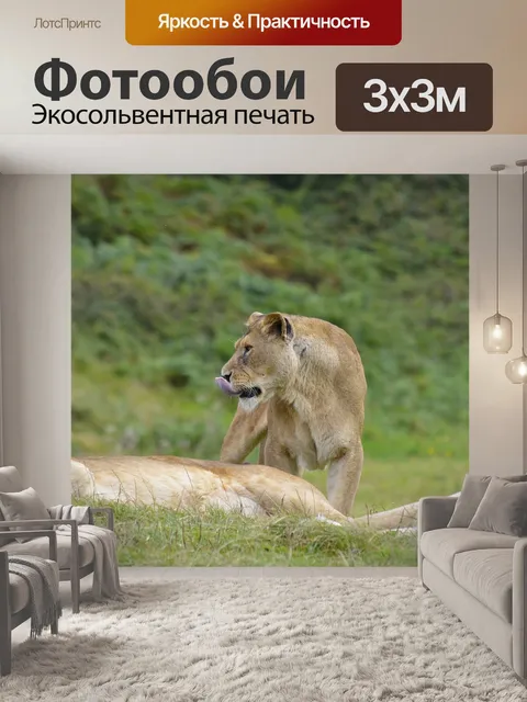 Фотообои Лев