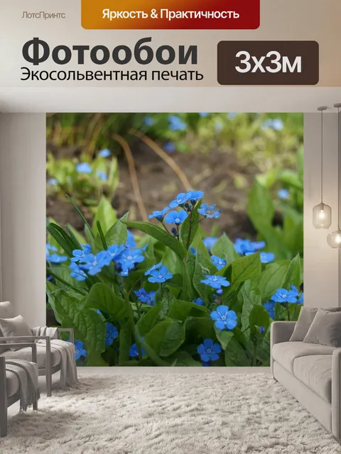Фотообои Синий