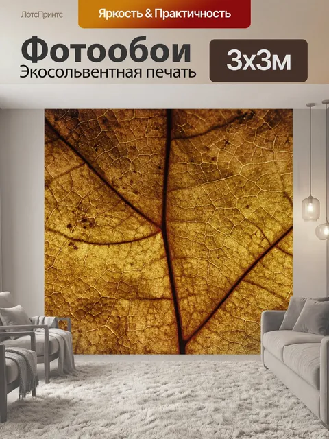 Фотообои Фон