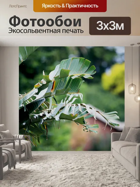 Фотообои ветер рвется Стрелиция листья
