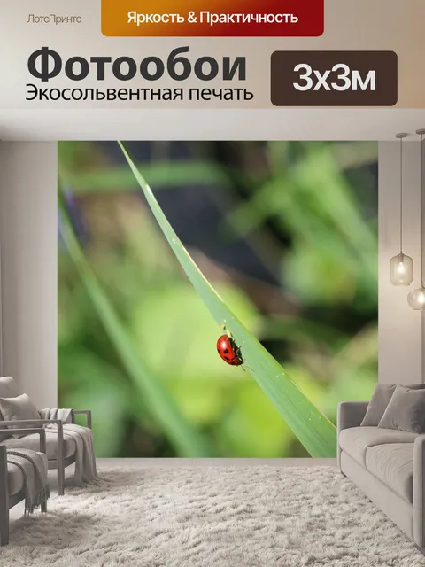 Фотообои Природа