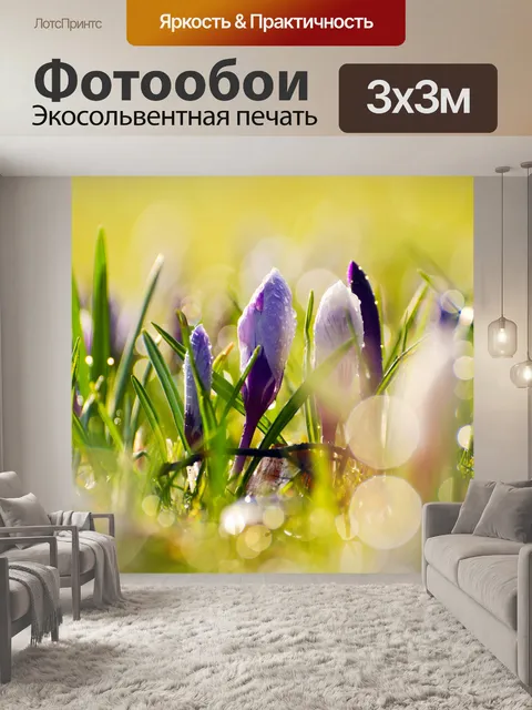 Фотообои Цветы