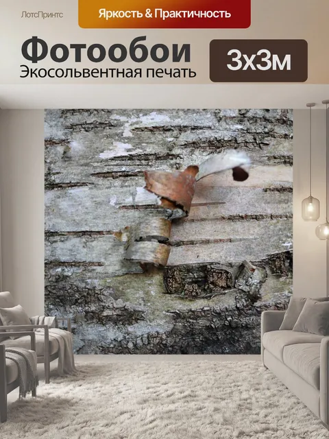 Фотообои бересты