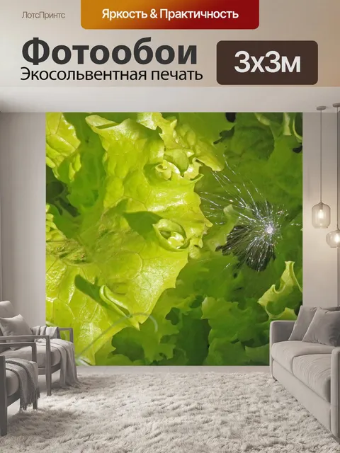 Фотообои пучок семян одуванчика между листьями