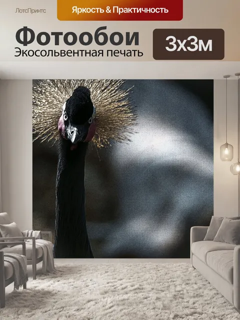 Фотообои Серые венценосные журавли