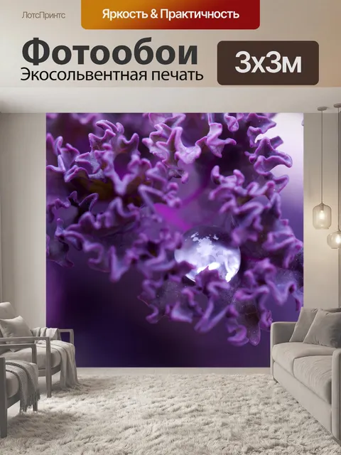 Фотообои капли воды на листьях