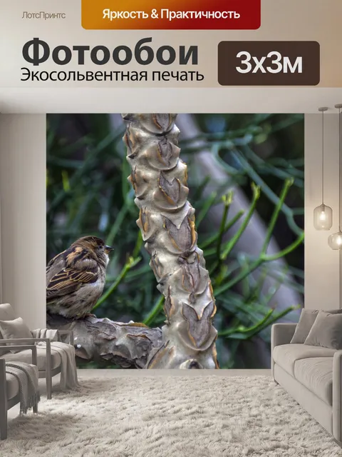 Фотообои Воробей