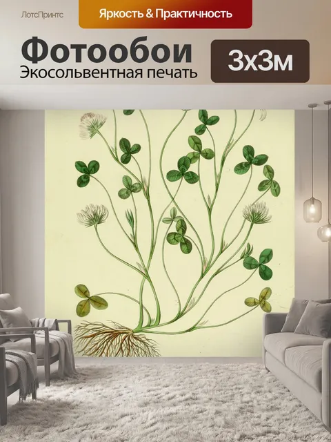 Фотообои Иллюстрация старинных цветов клевера