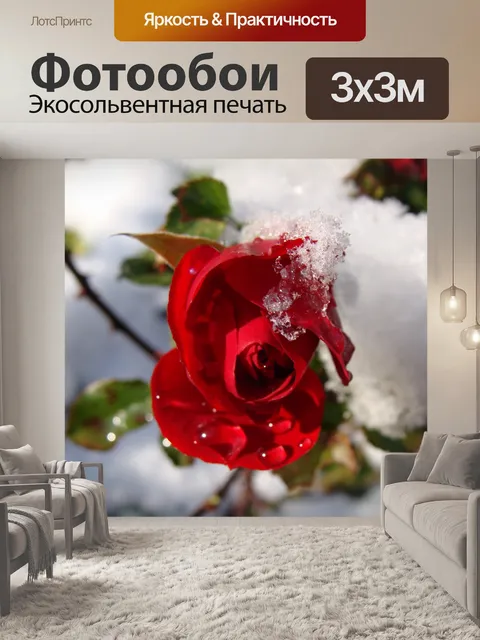 Фотообои Розово-красный, снег, капли воды